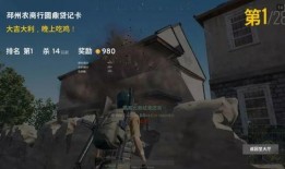 子宇爆料吃鸡视频大全,吃鸡视频大全精彩瞬间大放送